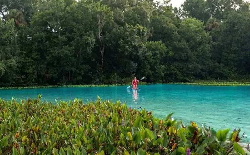 Alexander Springs Recreation Area