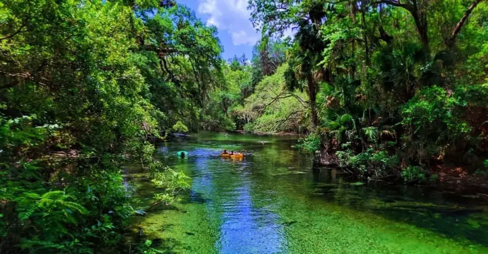 Blue Spring State Park