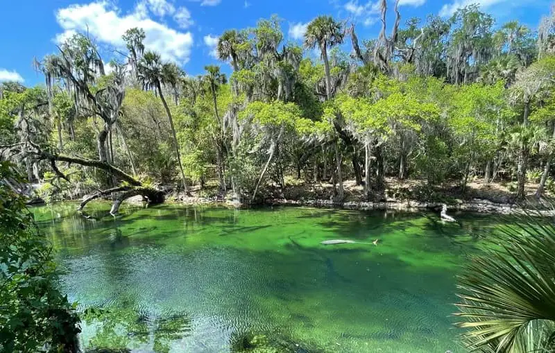 Blue Spring State Park