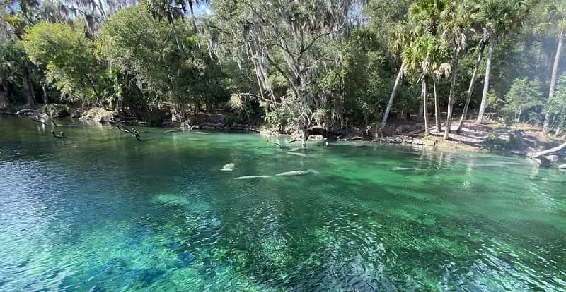 Blue Spring State Park