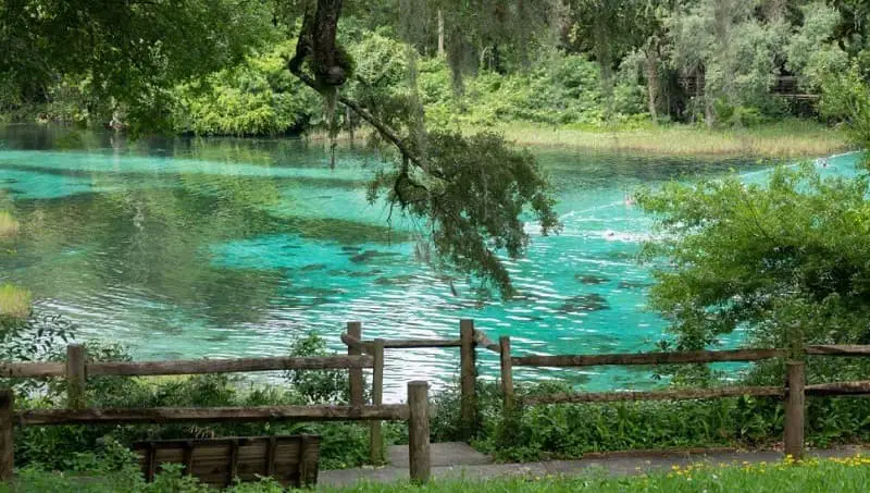 Rainbow Springs State Park